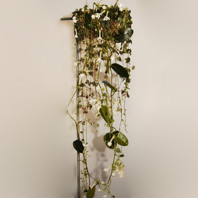 interflora_muffe_stor